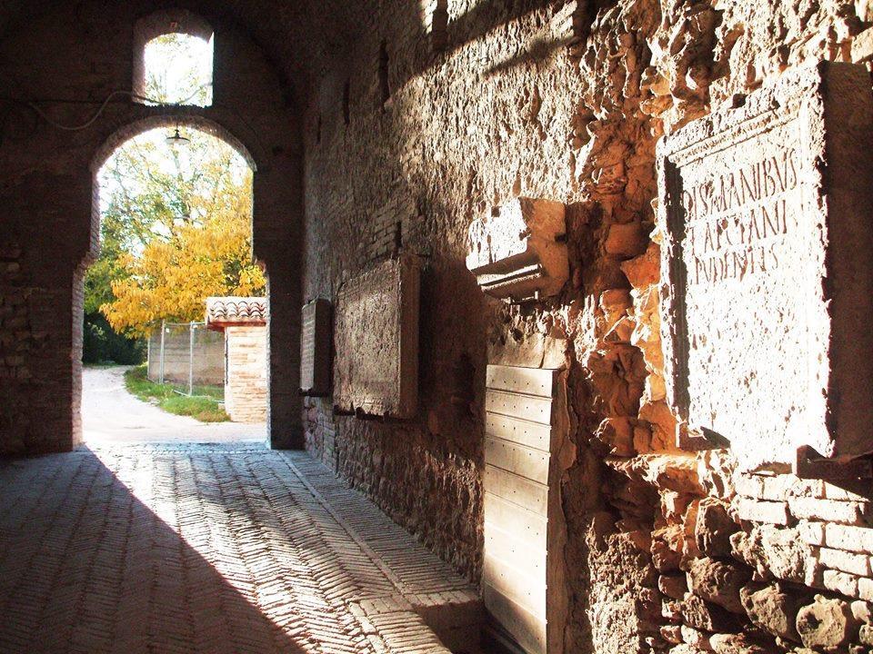 Casa Filippini Bed & Breakfast Fossombrone Exterior foto